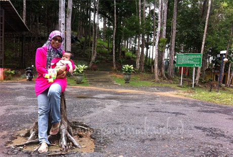 Keindahan Panorama Puncak Rindu Alam
